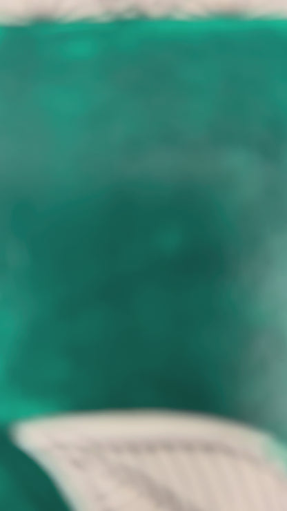 Mayura - Madhubani Peacock Painting